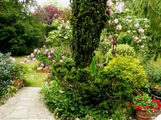 Comment agrandir visuellement son jardin ?