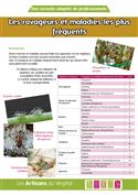 Les ravageurs du jardin et les maladies les plus fréquentes